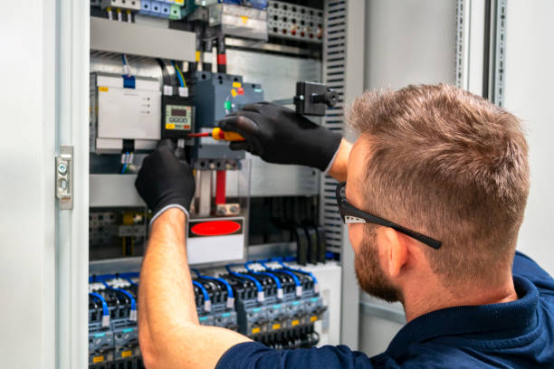 Best Electric Panel Repair  in Luray, VA