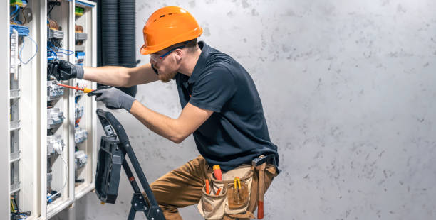 Best Electrical System Inspection  in Luray, VA