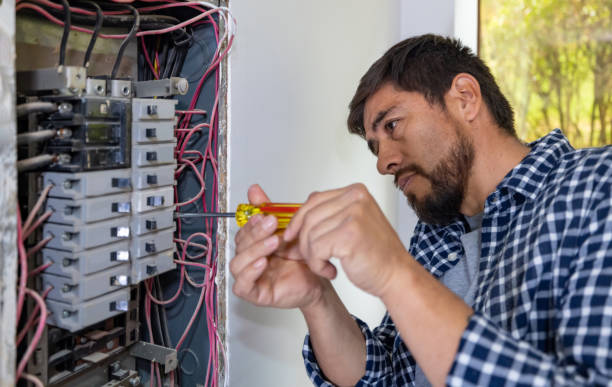 Best Licensed Electrician  in Luray, VA